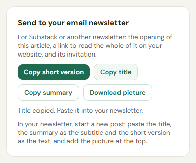 The Send to your email newsletter box: copy the short version, the title and the summary, and download the picture