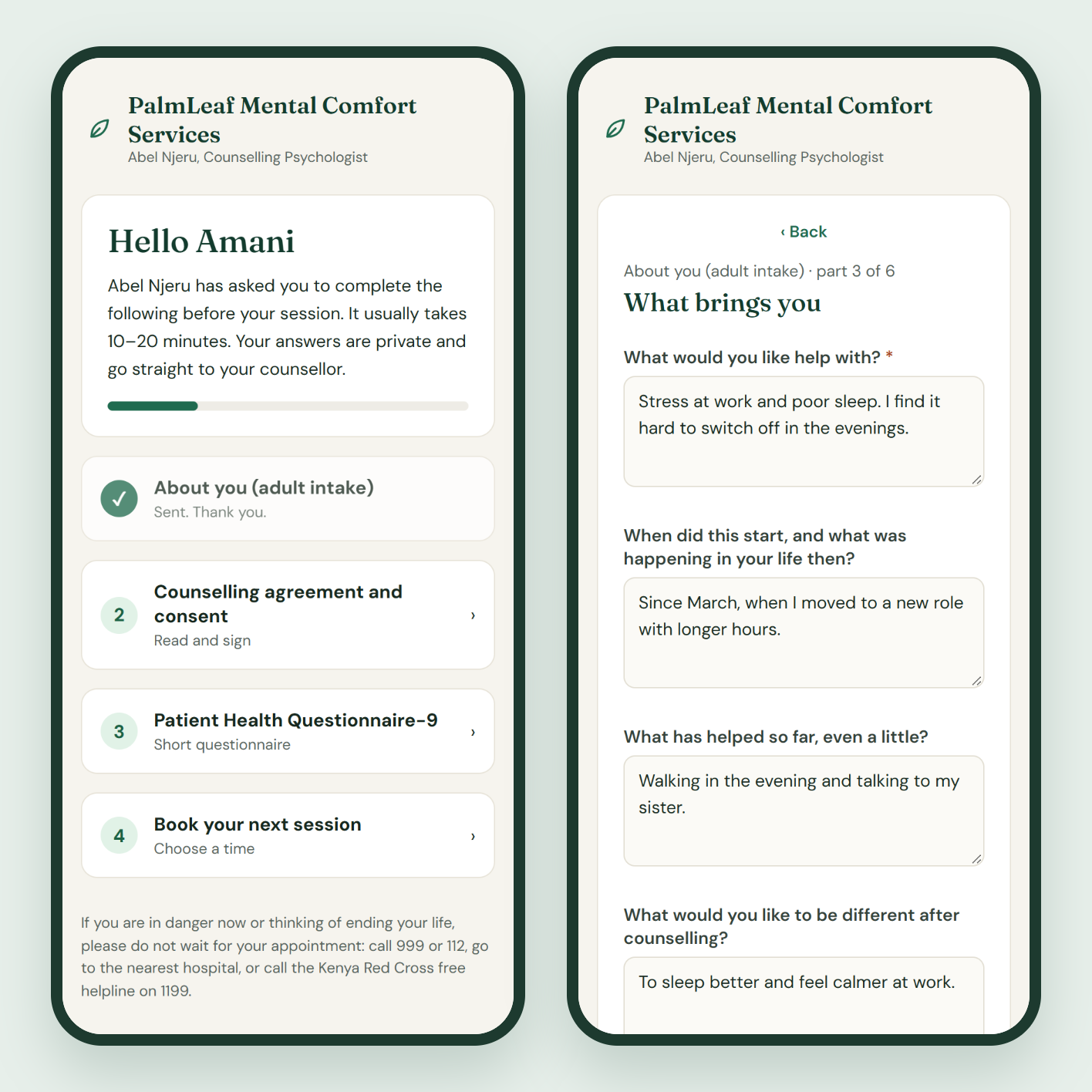 On a client's phone: the checklist of things to complete, and part of the intake form